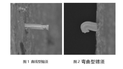 淺談一下焊錫膏焊接后出現(xiàn)錫須是什么原因？